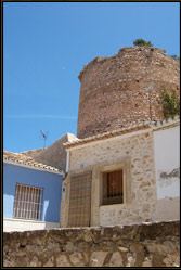 denia